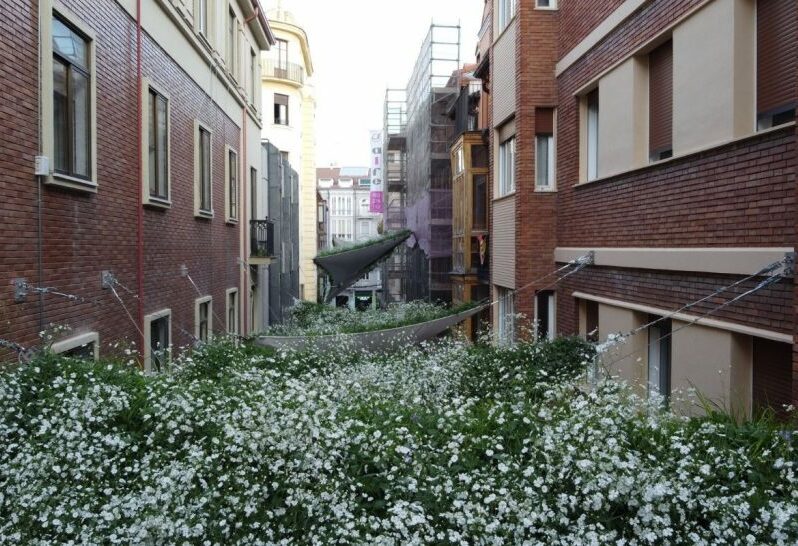 green shades canopée 3