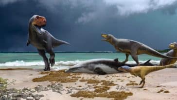 dinosaures abélisauridés