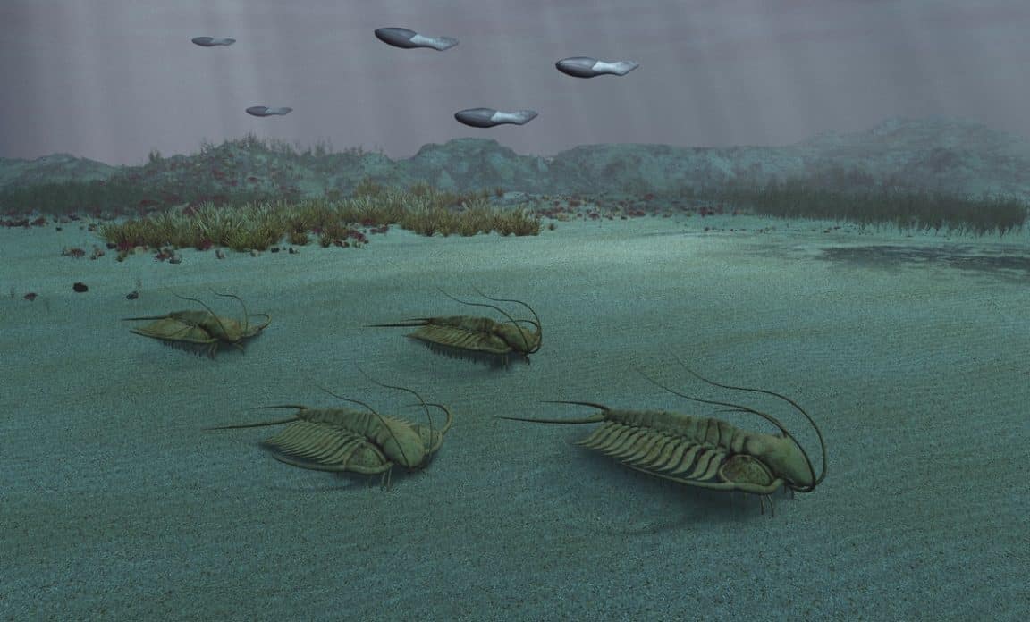 trilobites biotes de Cabrières