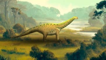 Igai Semkhu titanosaure