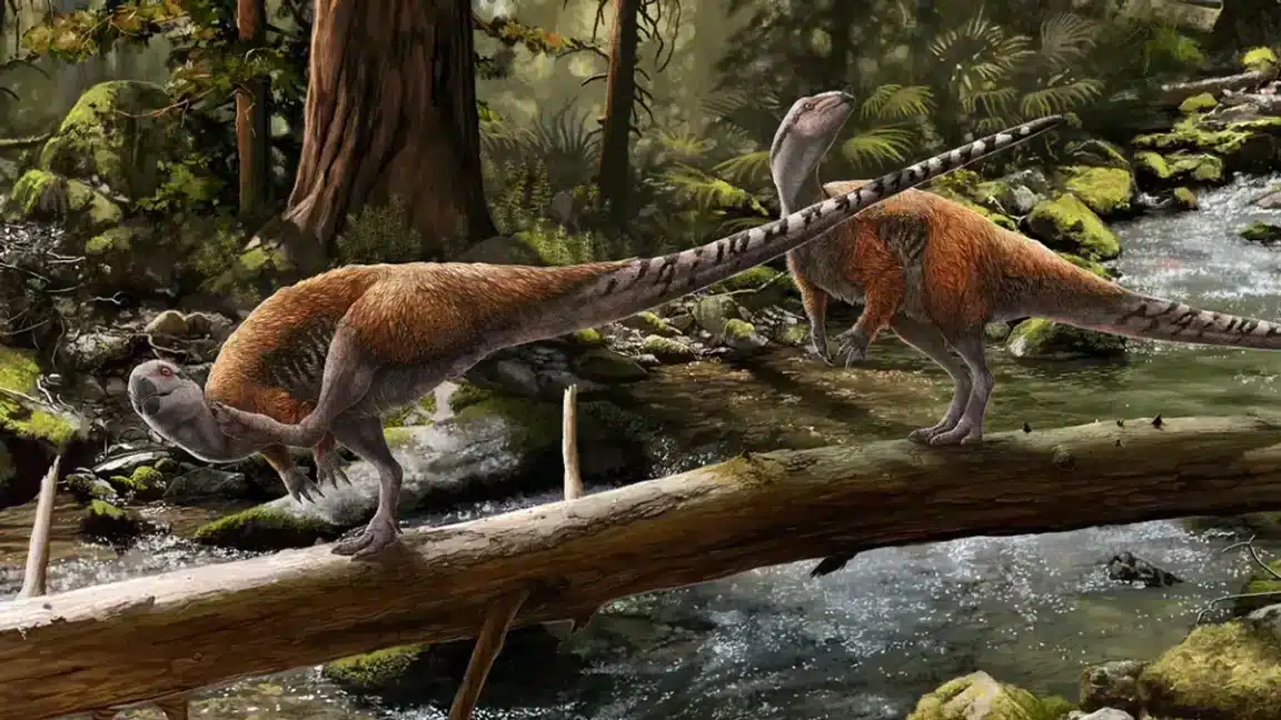 dinosaure Vectidromeus insularis