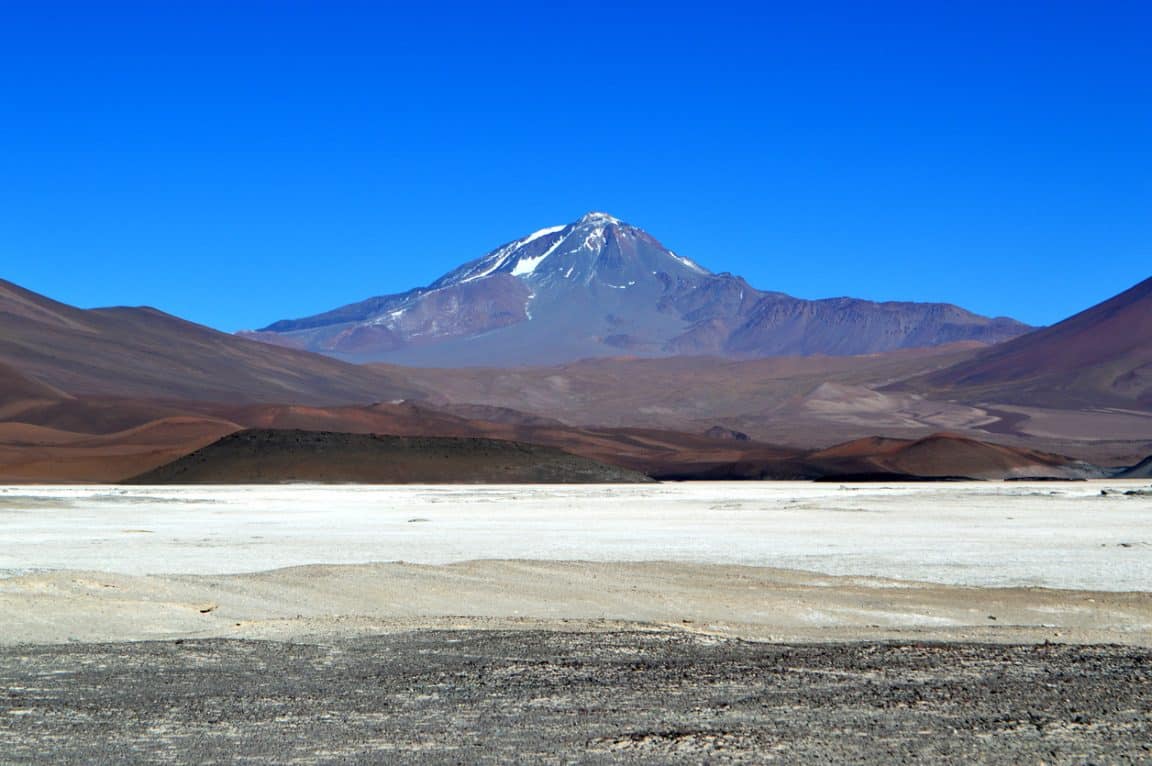 volcan vertébrés