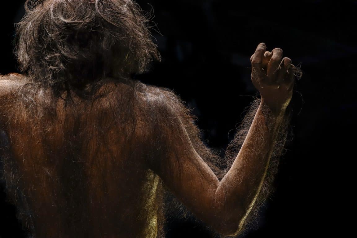Homo heidelbergensis