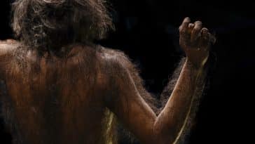 Homo heidelbergensis