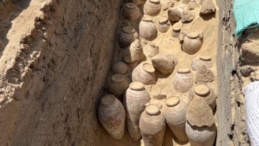 jarres vin Meret-Neith