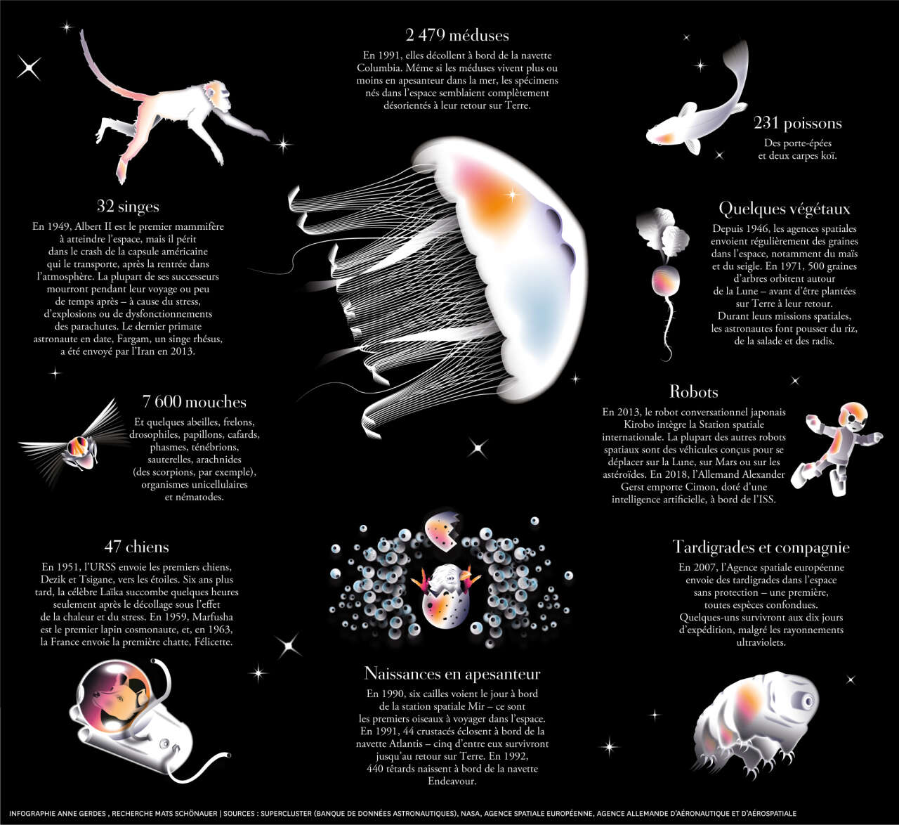 animaux espace infographie