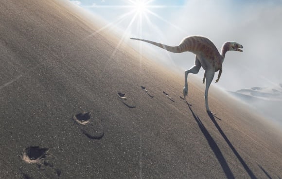 empreintes dinosaure Farlowichnus rapidus