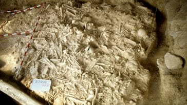 guerre charnier soldats