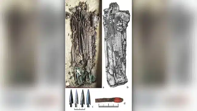 scythes peau humaine cuir