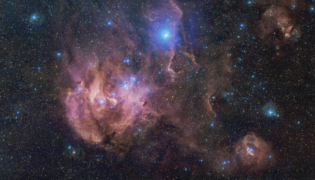 nébuleuse du poulet