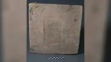 briques anomalie champ magnétique