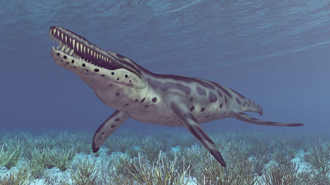 pliosaure