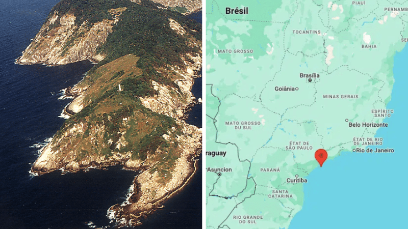 Ile de Queimada Grande Brésil carte