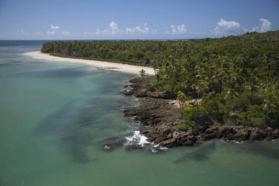 île déserte Brésil Queimada Grande sauvage nature