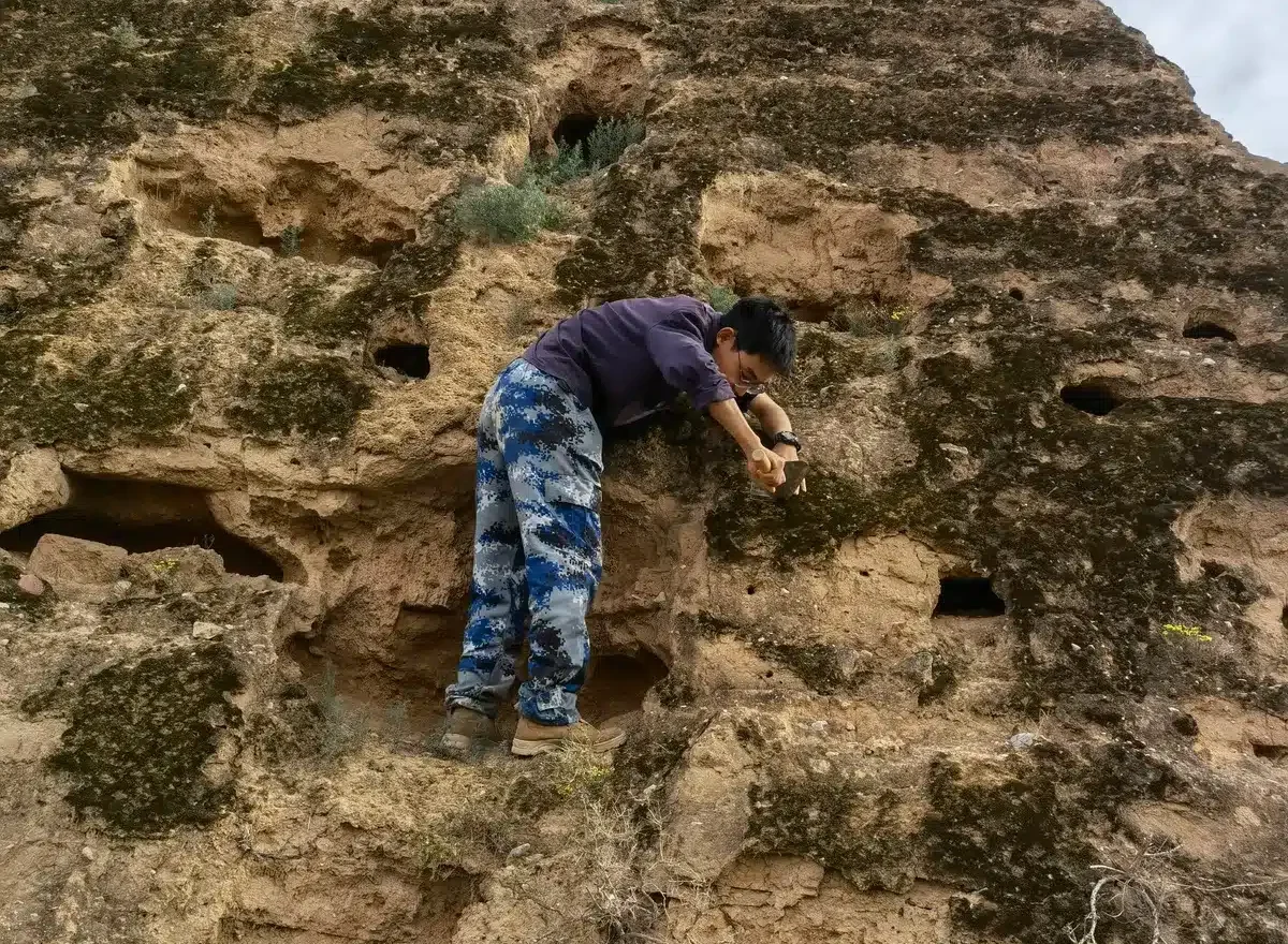 grande muraille de chine biocroûtes