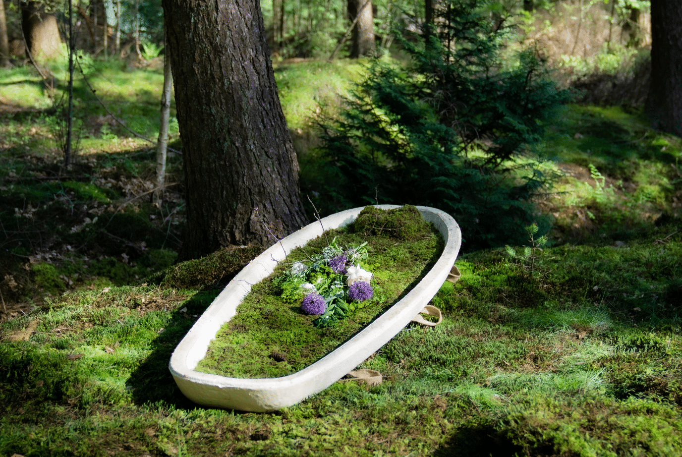 cercueil écologique 2