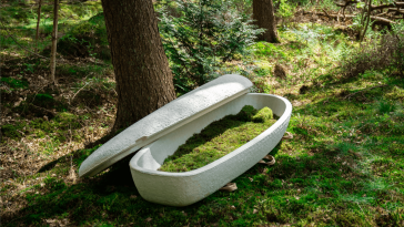 cercueil écologique