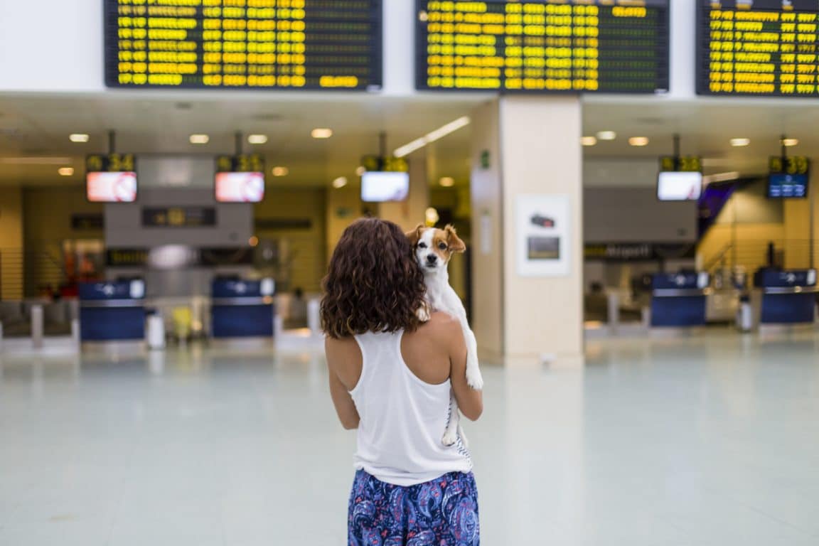 chien avion aéroport voyage femme peur