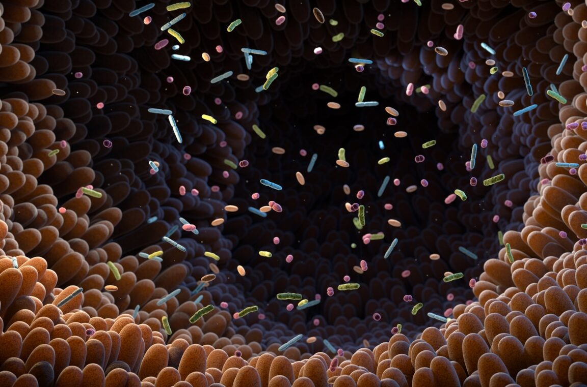 microbiote intestinal