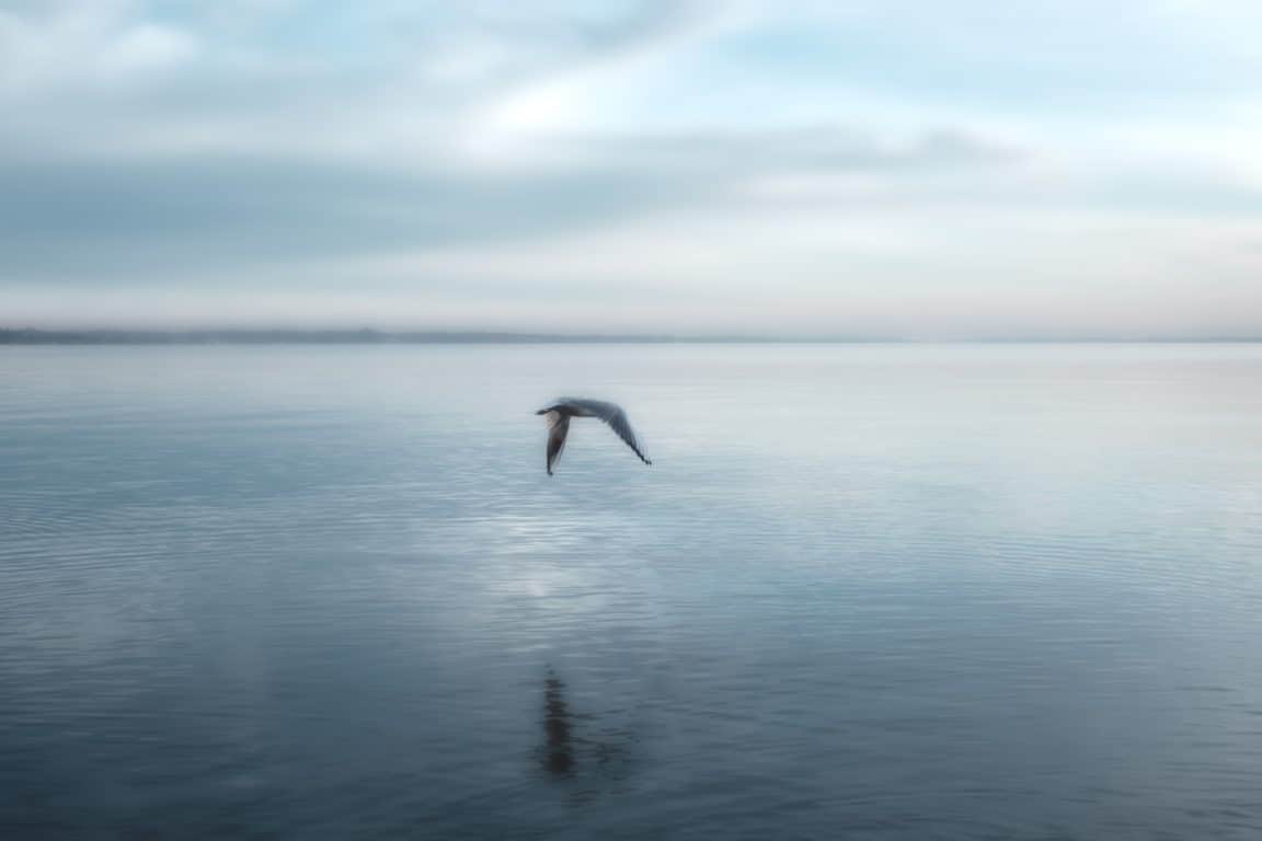 vie lac soude phosphates