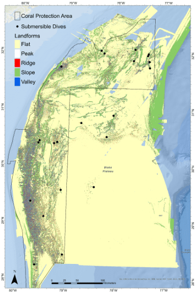 récif corail eau froide