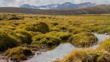 tourbières Irlande du nord