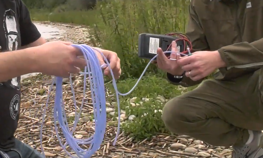 pile combustible cyanobactéries