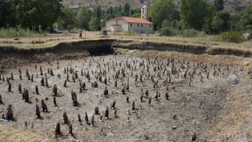 habitat préhistorique rayons cosmiques Événement Miyake