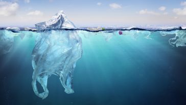 sac plastique pollution