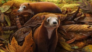 Militocodon lydae mammifère