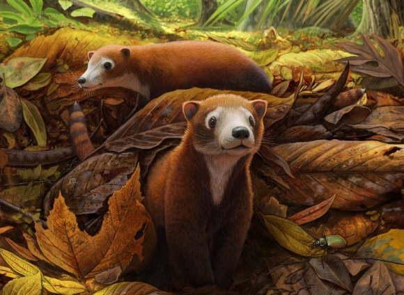 Militocodon lydae mammifère