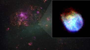 supernova spectromètre