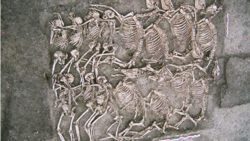 tombe chevaux dans l'Indre