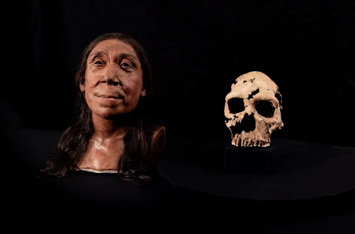 Shanidar Z Neandertal