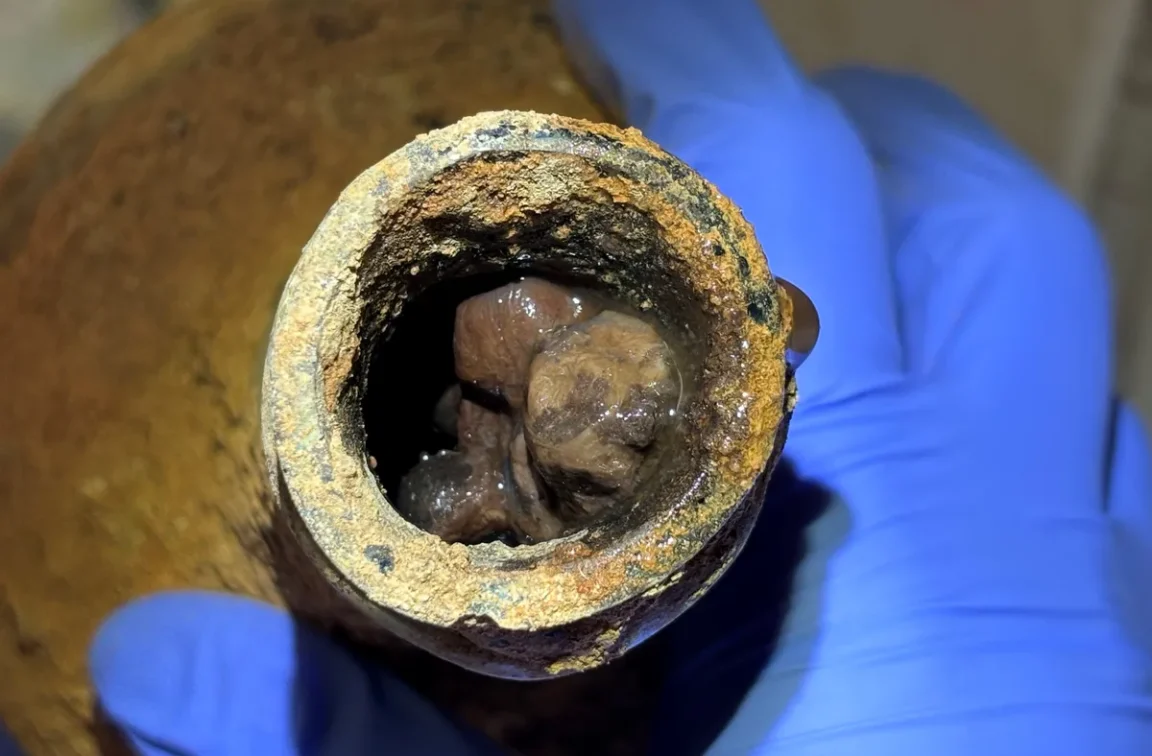 fruits George Washington