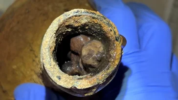 fruits George Washington