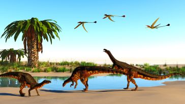 Musankwa sanyatiensis dinosaure Zimbabwe