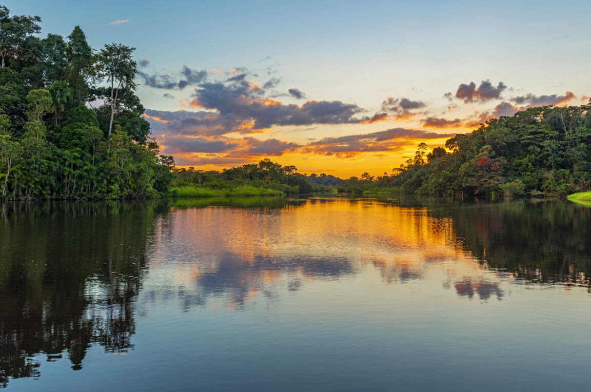 lac Amazonie tropical