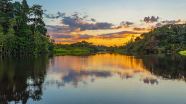 lac Amazonie tropical