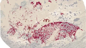 art rupestre de Leang Karampuang