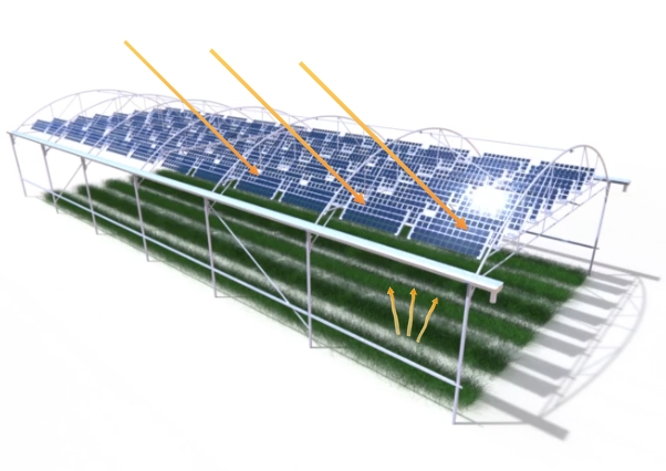 système agrivoltaïque