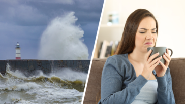 tempête Ciaran thé