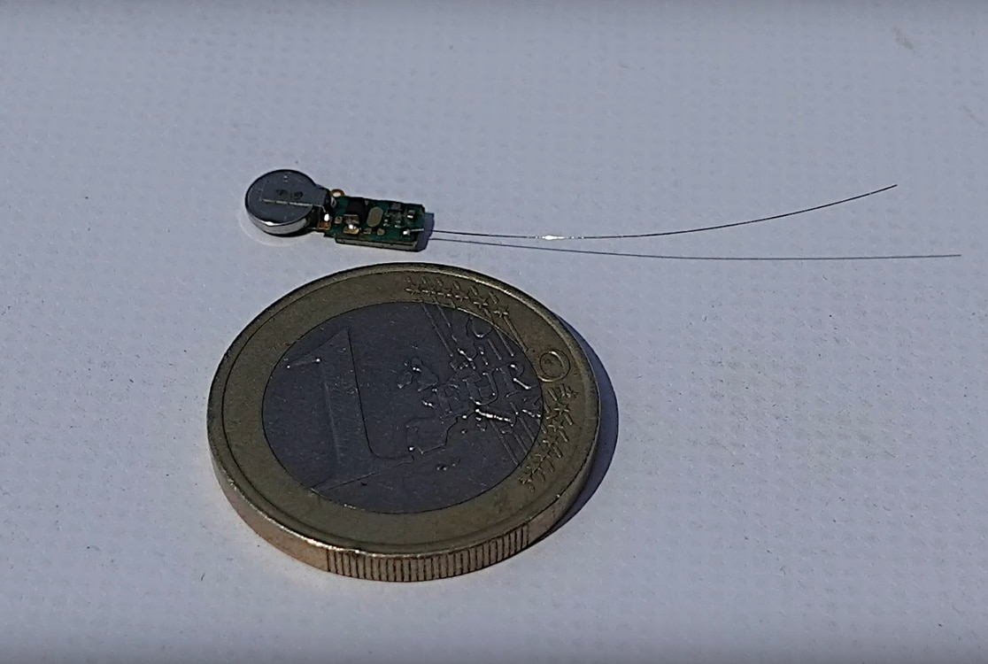 balise mouchard frelon 2