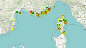 capture carte méduse 2