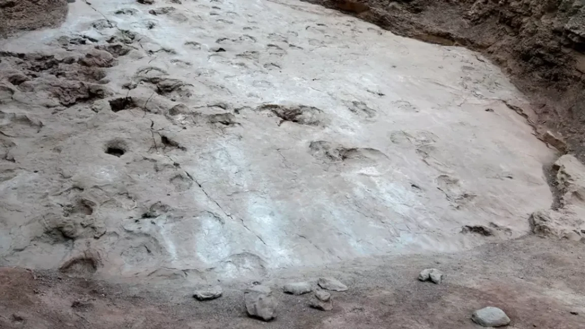 empreintes dinosaures