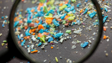 microplastiques