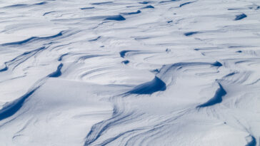 dunes de neige