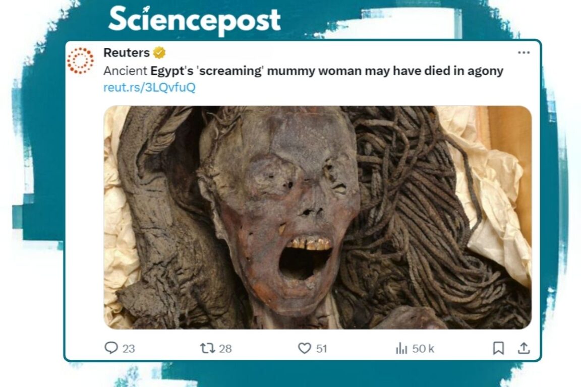 Capture d’un post de Reuters sur X montrant la momie hurlante le 14 août 2024.