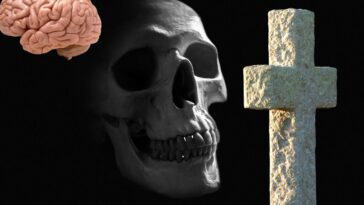 ce qui se passe dans le cerveau après la mort