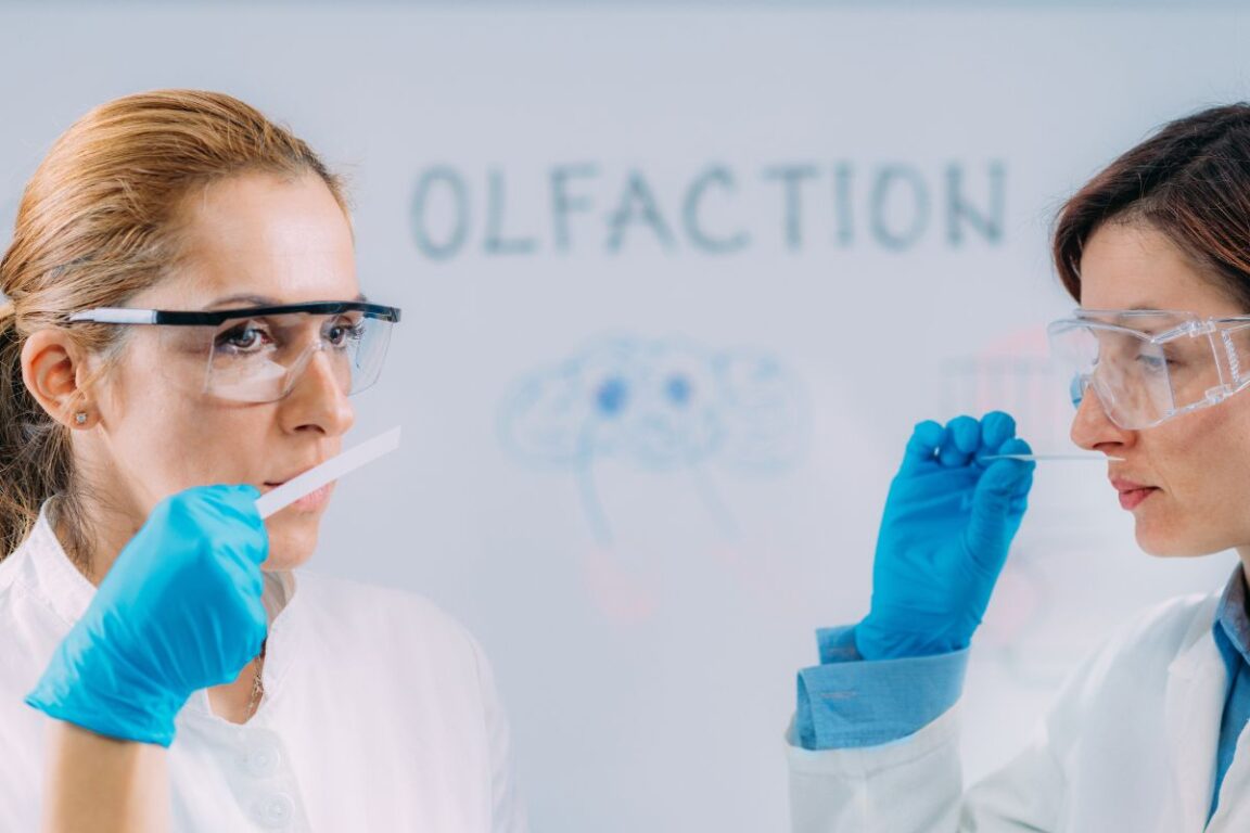 Technologie : le défi fascinant des chercheurs pour archiver et reproduire les odeurs !